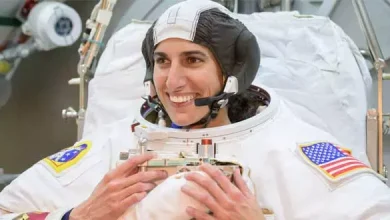 فضانورد ایرانی ناسا با فضاپیمای ایلان ماسک به زمین بازگشت